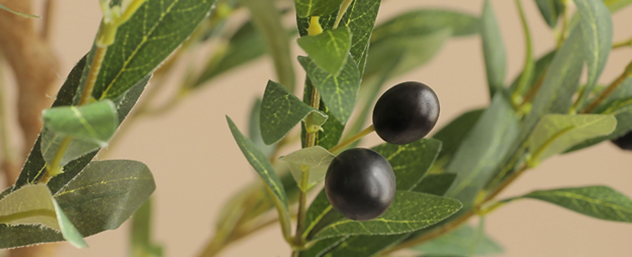 Olive Silk Tree